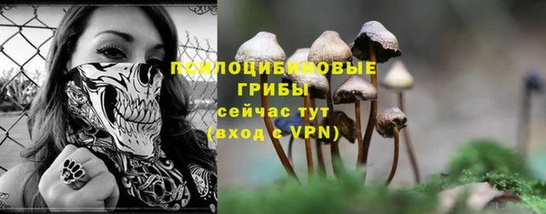 МДМА Гусиноозёрск