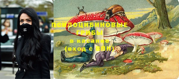 МДМА Гусиноозёрск