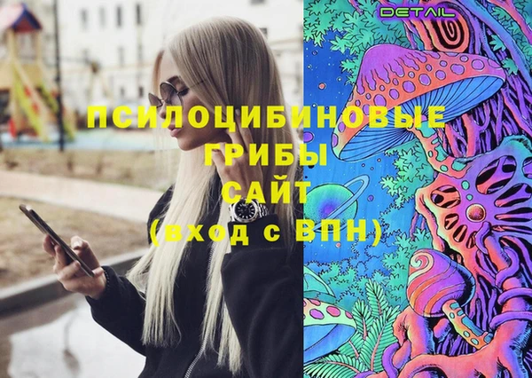 дмт Гусь-Хрустальный