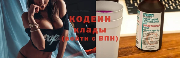 apvp Дмитровск
