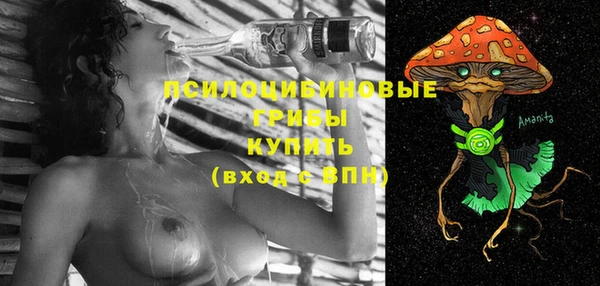 дмт Гусь-Хрустальный