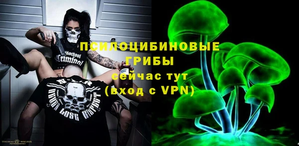 apvp Дмитровск
