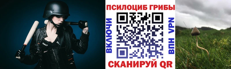 Купить закладки  Верхняя Тура  Галлюциногенные грибы прущие грибы 